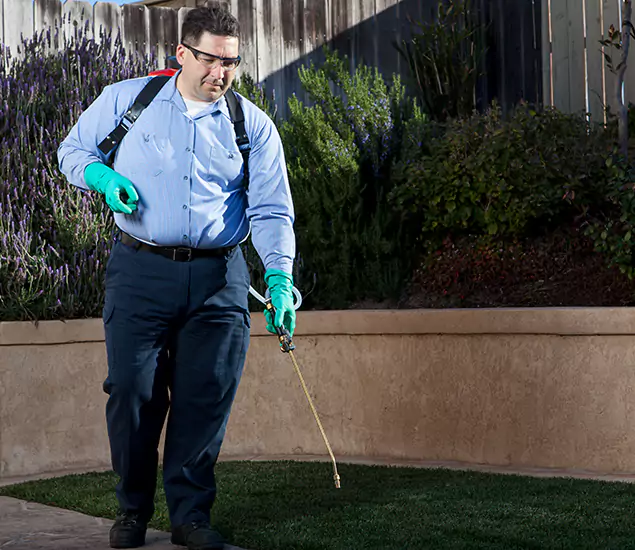 Reliable Termite Barrier Treatment Experts in Medford, OR