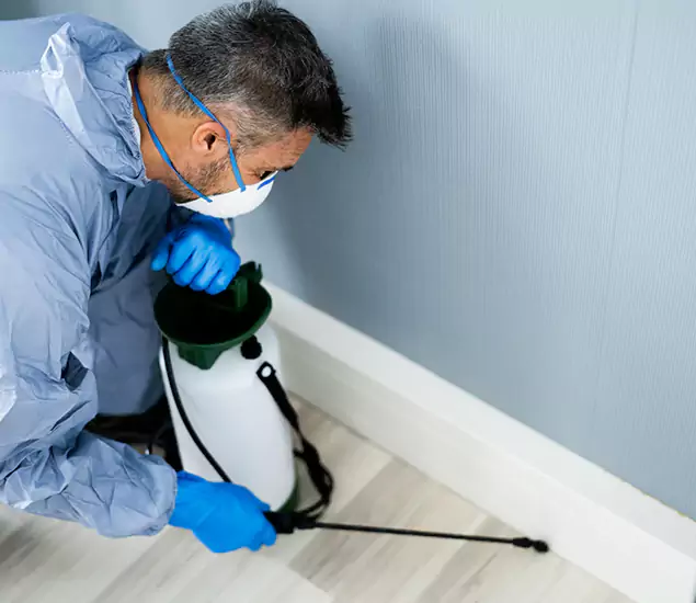 Reliable Termite Cost Experts in Medford, OR