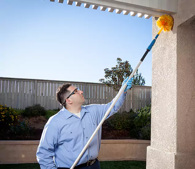 Your Trusted Wasp Removal Company in Medford, OR