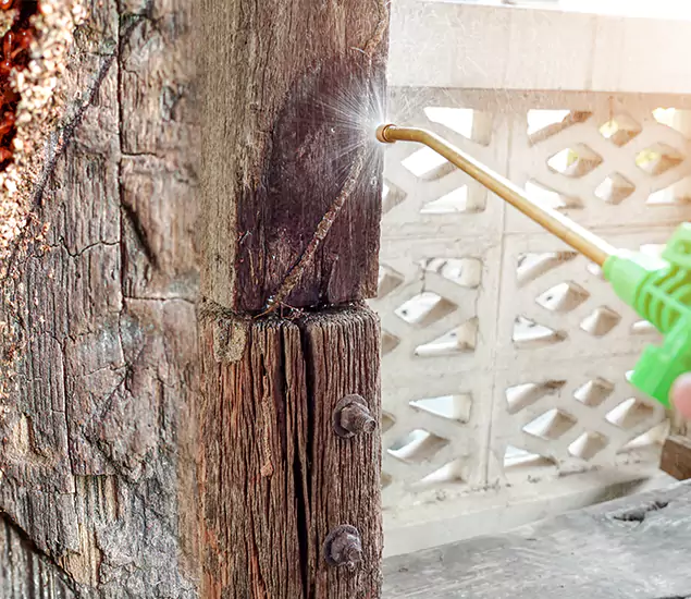About Wood Termite Treatment Services in Medford, OR