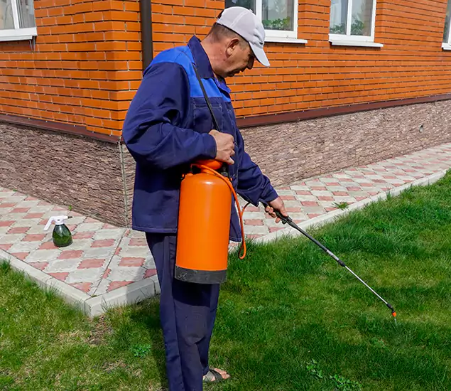 Your Yellow Jacket Pest Control Experts in Medford, OR
