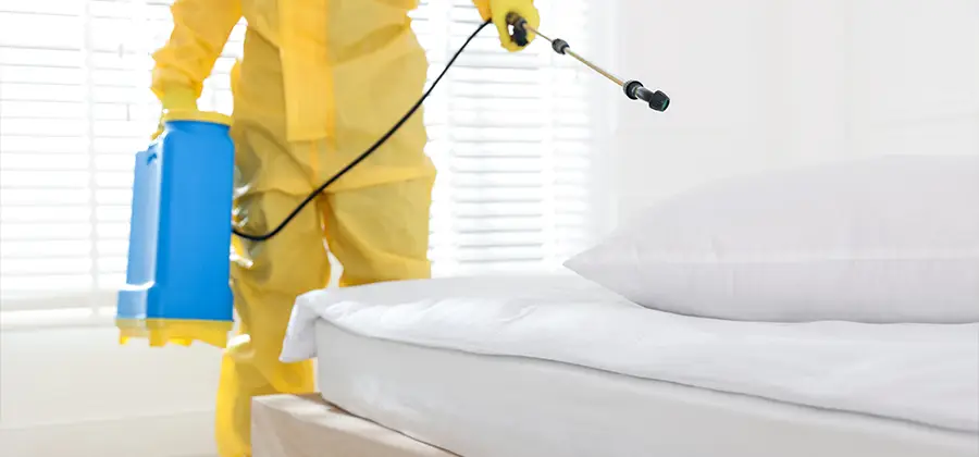 Targeted Chemical Application in Medford