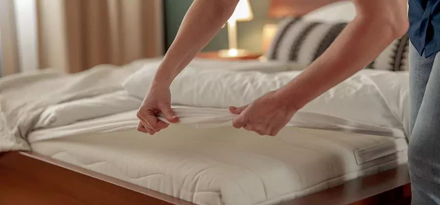 Bed Bug Extermination Services in Medford