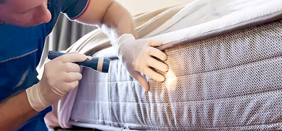 Residential Bed Bug Treatment Cost in Medford