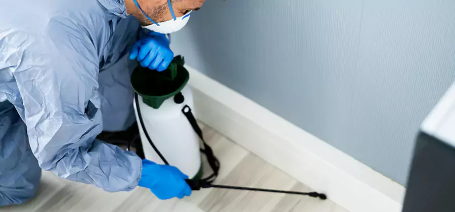 Fumigate Apartment Roaches in Medford