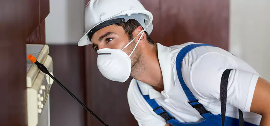 Injection Foam Treatment for Drywood Termites in Medford