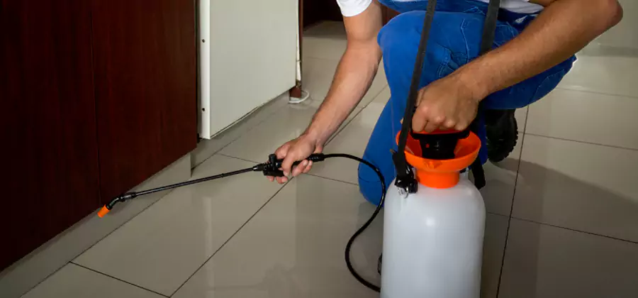 Indoor Mosquito Treatment in Medford