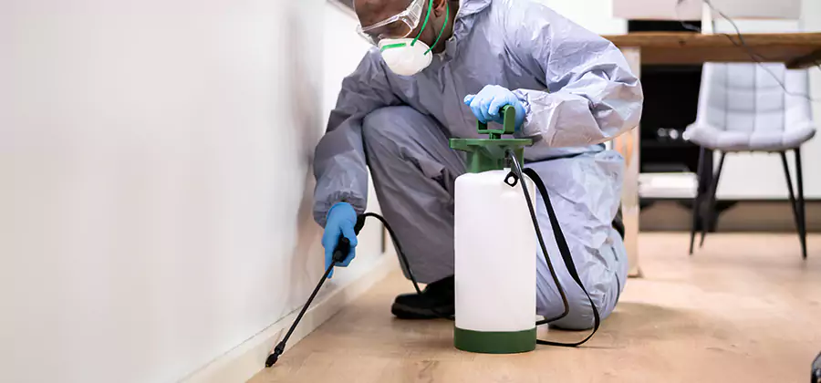 Long Lasting Mosquito Treatment in Medford