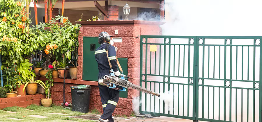 Backyard Mosquito Foggers Service in Medford