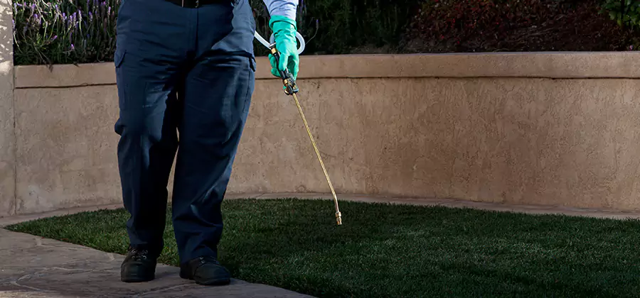 Soil Treatment for New Construction Termites in Medford