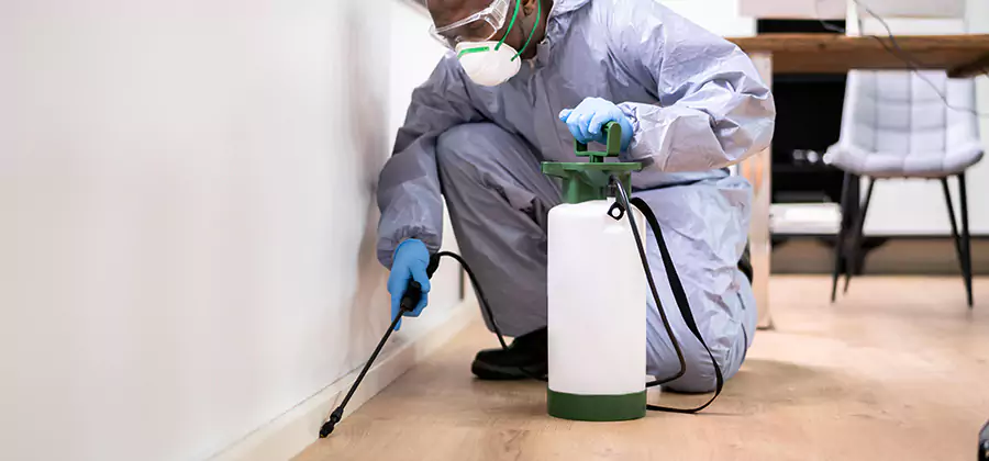 No Tent Termite Extermination With Electric Tool in Medford
