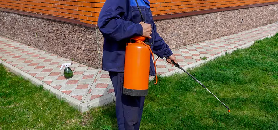 Non Toxic Termite Treatment in Medford