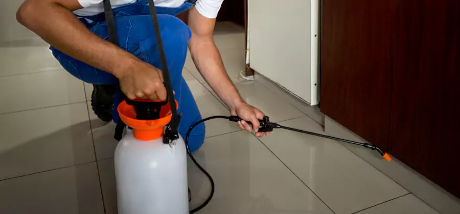 One Time Termite Control in Medford