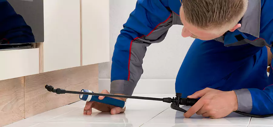 Moisture Treatment For Termite Control Service in Medford