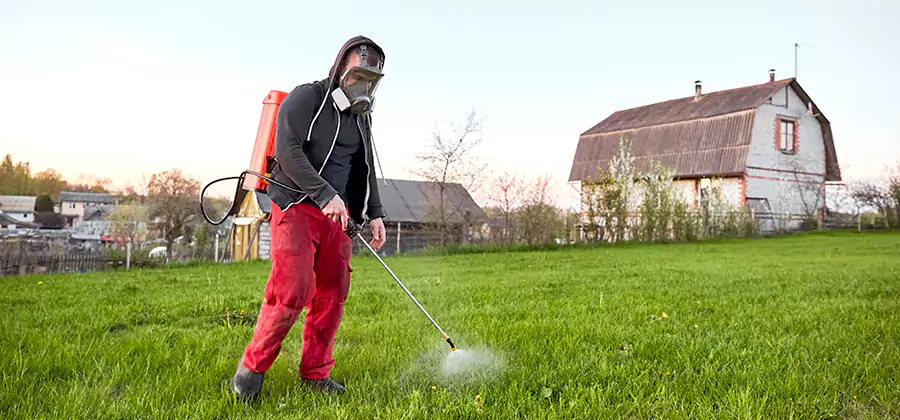Flea and Tick Pest Control in Medford