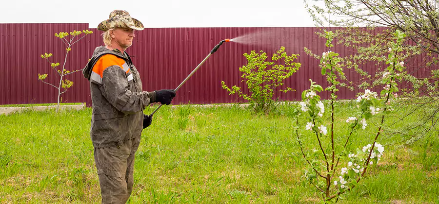 Flea and Tick Spray for Yard in Medford