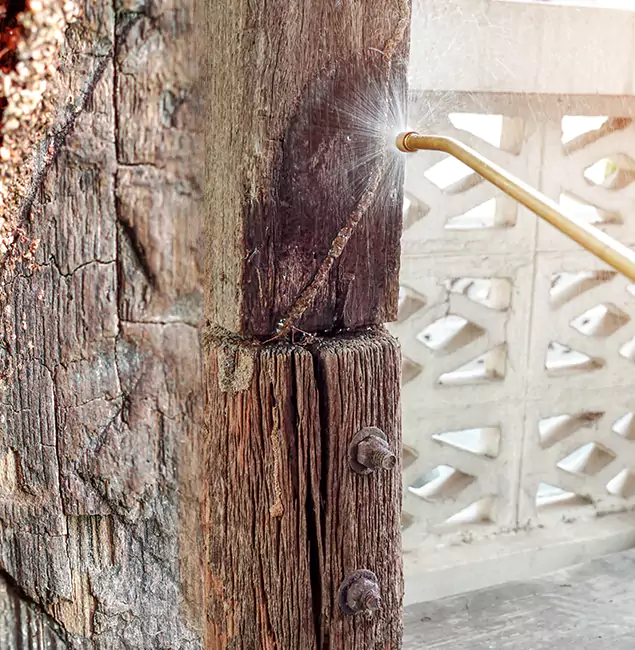 Why Choose Medford Pest Control Pro for Attic Termite Treatment in Medford, OR?