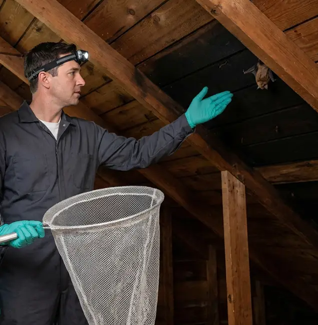 Why Medford Pest Control Pro Is the Right Choice in Medford, OR?
