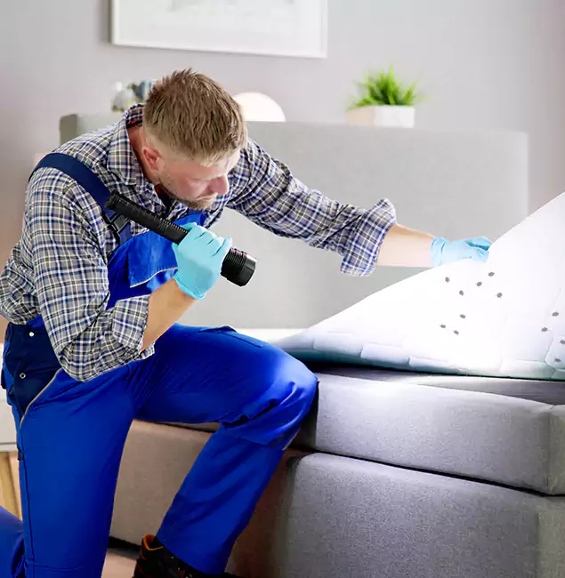 Why Choose Medford Pest Control Pro for Bed Bug Exterminator Cost in Medford, OR?