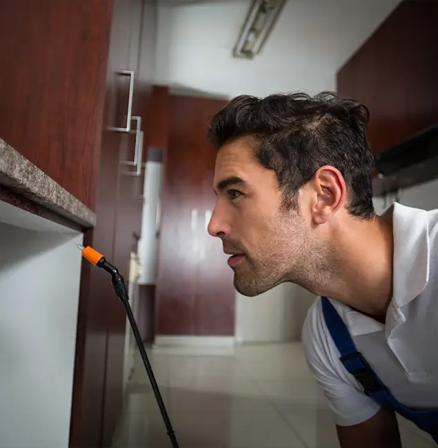 Why Choose Medford Pest Control Pro for Bed Bug Removal Cost in Medford, OR?