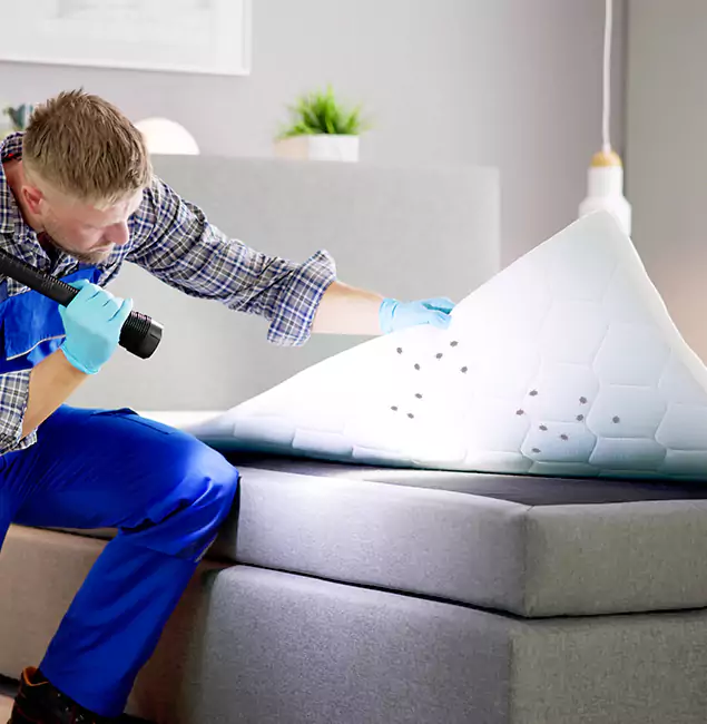 Why Choose Medford Pest Control Pro in Medford, OR?