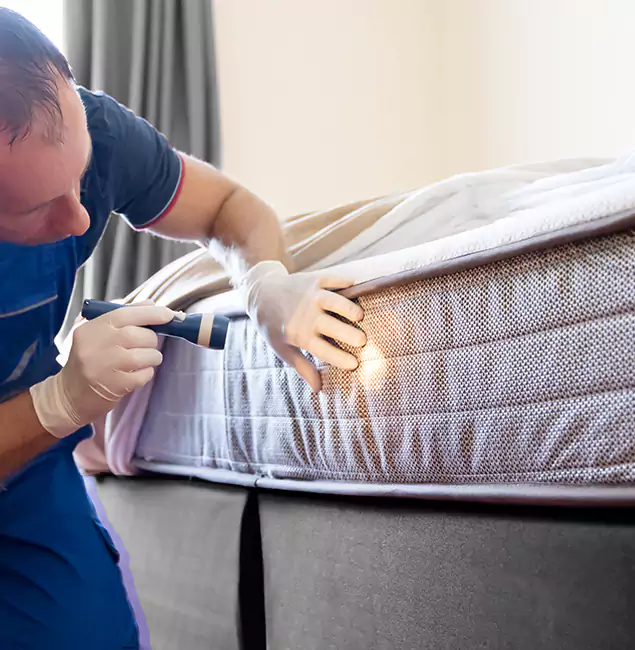 Why Choose Medford Pest Control Pro for Bed Bug Services in Medford, OR?