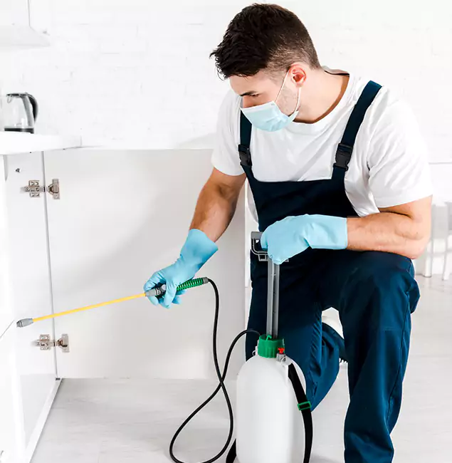 Why Choose Medford Pest Control Pro for Emergency Pest Control in Medford?