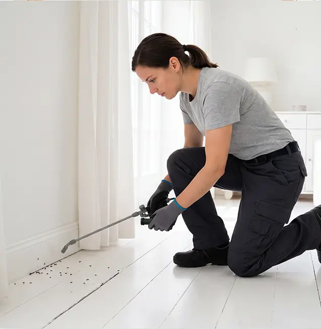Why Medford, OR Property Owners Trust Medford Pest Control Pro for Fire Ant Control?