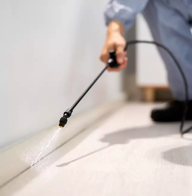 Why Choose Medford Pest Control Pro for Termite Treatment in Medford, OR?
