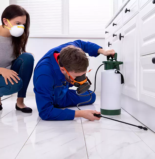 Why Medford, OR Homeowners Trust Medford Pest Control Pro for Roach Control?