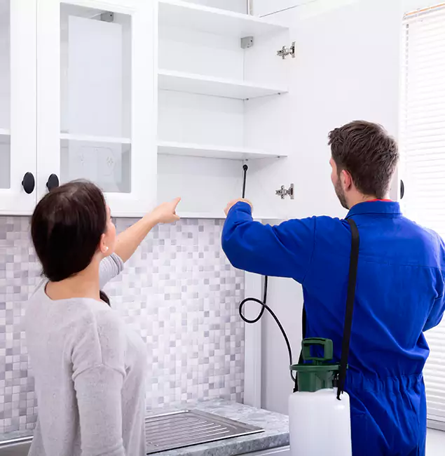 Why Medford Property Owners Choose Medford Pest Control Pro for Ground Bee Removal?