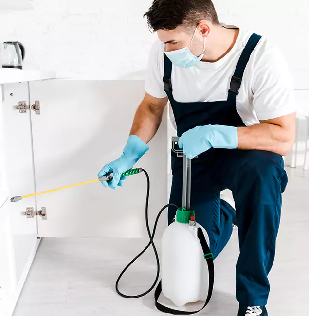 Why Choose Medford Pest Control Pro for Indoor Pest Control in Medford, OR?