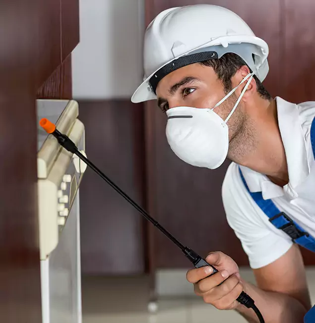 Why Medford Homeowners Rely on Medford Pest Control Pro for Tick Treatment?