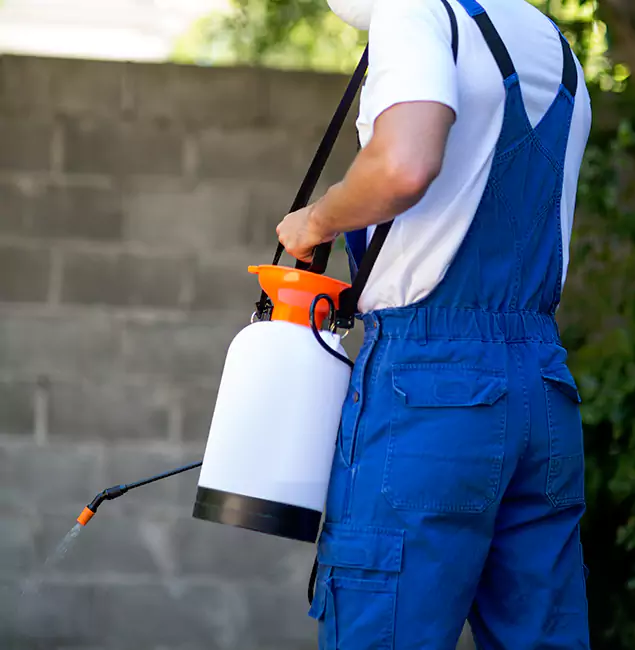 Why Medford Homeowners Rely on Medford Pest Control Pro for Mosquito Control?