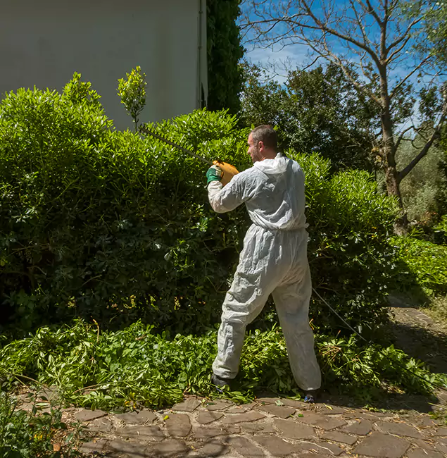 Why Medford Pest Control Pro Leads Mosquito Control in Medford, OR?