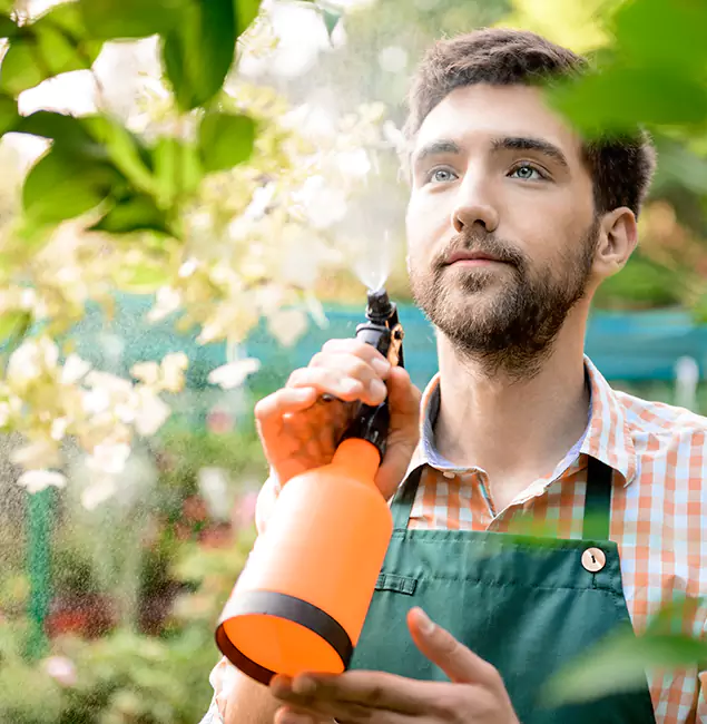 Why Medford Pest Control Pro Is the Best Mosquito Control Company in Medford, OR?
