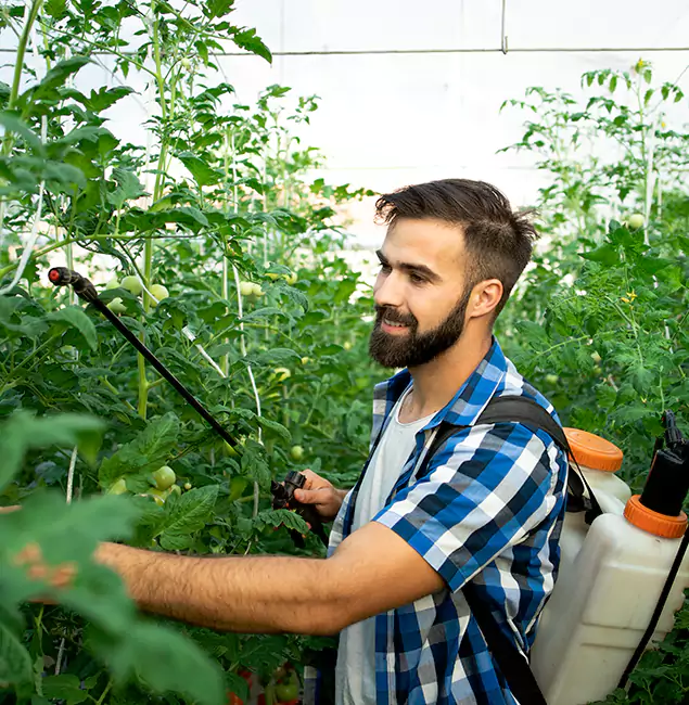 Why Medford Homeowners Choose Medford Pest Control Pro for Mosquito Spraying?