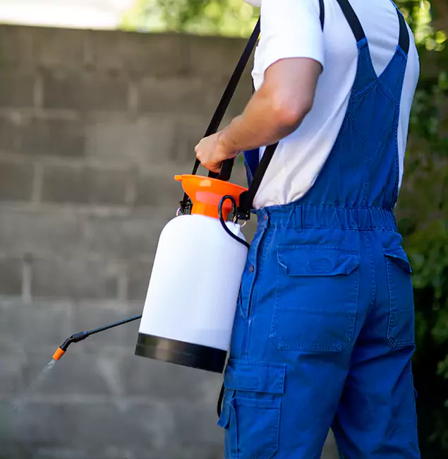 Why Medford Pest Control Pro Delivers the Best Mosquito Control in Medford, OR?