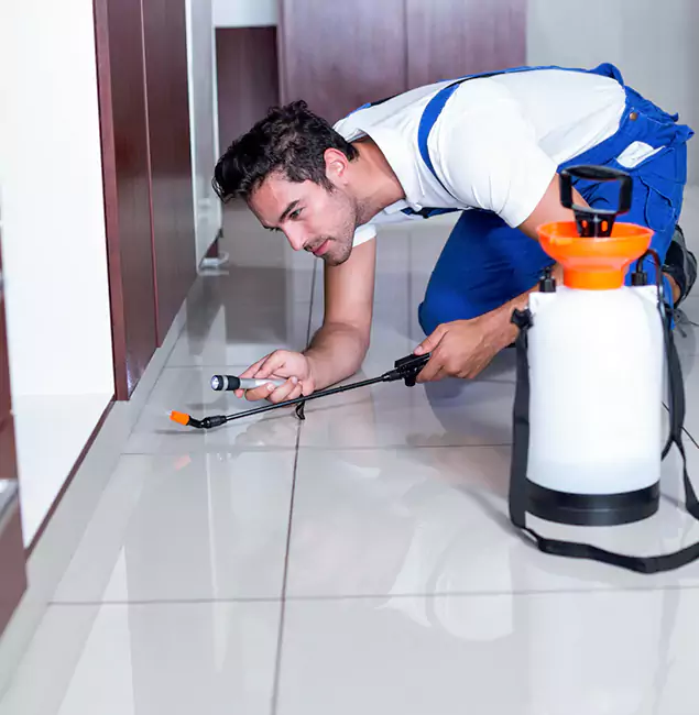 Why Medford Pest Control Pro Is the Proven Choice in Medford, OR?