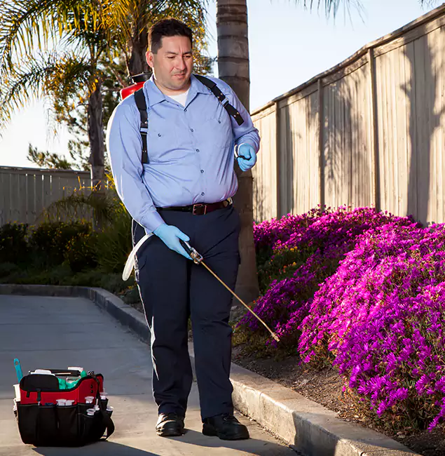 Why Choose Medford Pest Control Pro in Medford, OR?