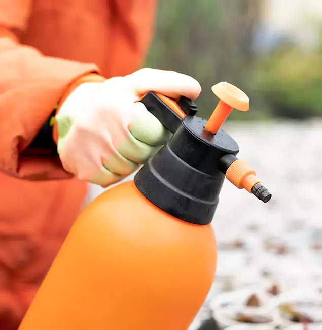 Why Choose Medford Pest Control Pro for Orange Termite Treatment in Medford, OR?