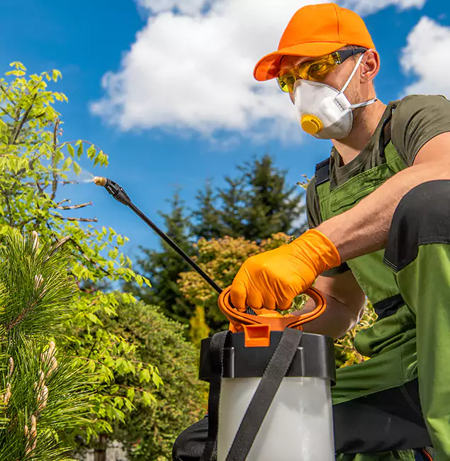 Why Choose Medford Pest Control Pro for Outdoor Pest Control in Medford, OR?