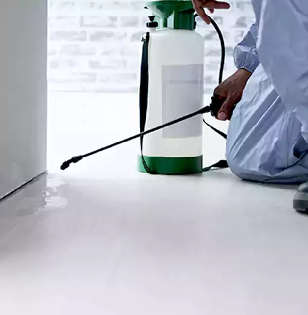 Why Choose Medford Pest Control Pro for Rat Exterminator in Medford, OR?