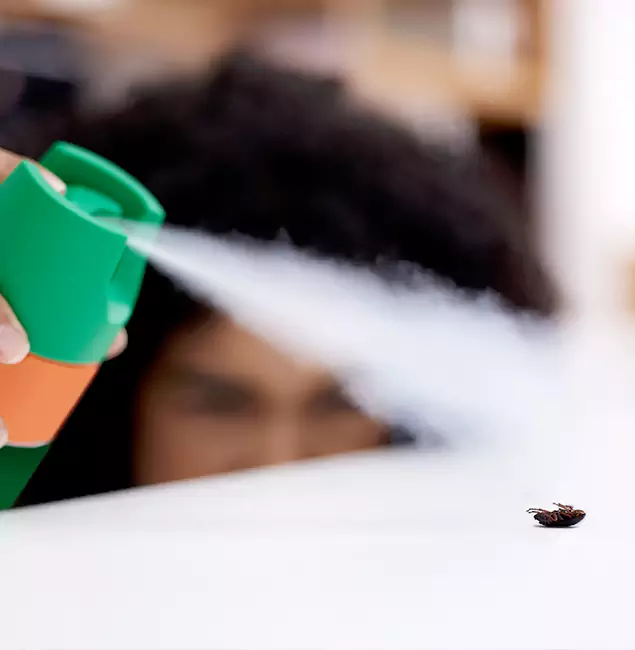 Why Medford, OR Homeowners Choose Medford Pest Control Pro for Roach Pest Control?