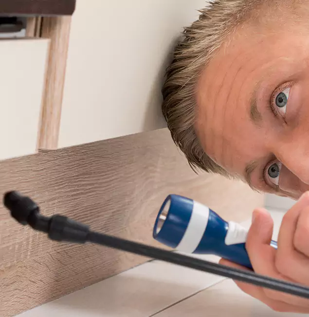 Why Choose Medford Pest Control Pro for Rodent Exterminator in Medford, OR?