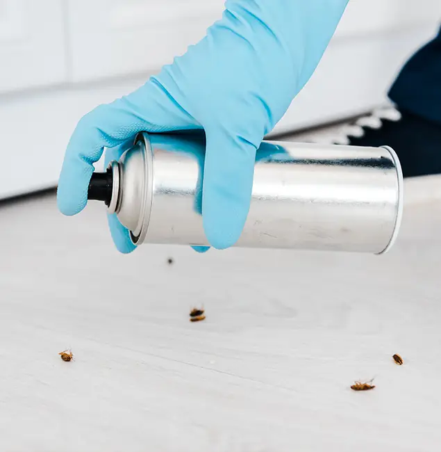 Why Choose Medford Pest Control Pro for Safe Bed Bug Treatment in Medford, OR?