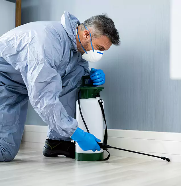 Why Choose Medford Pest Control Pro for Subterranean Termites Treatment in Medford, OR?