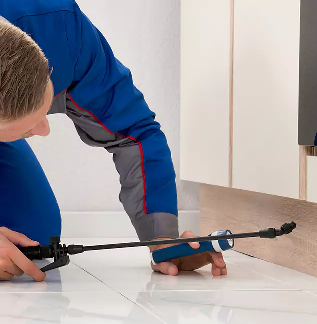 Why Medford Residents Choose Medford Pest Control Pro to Get Rid of Sugar Ants?