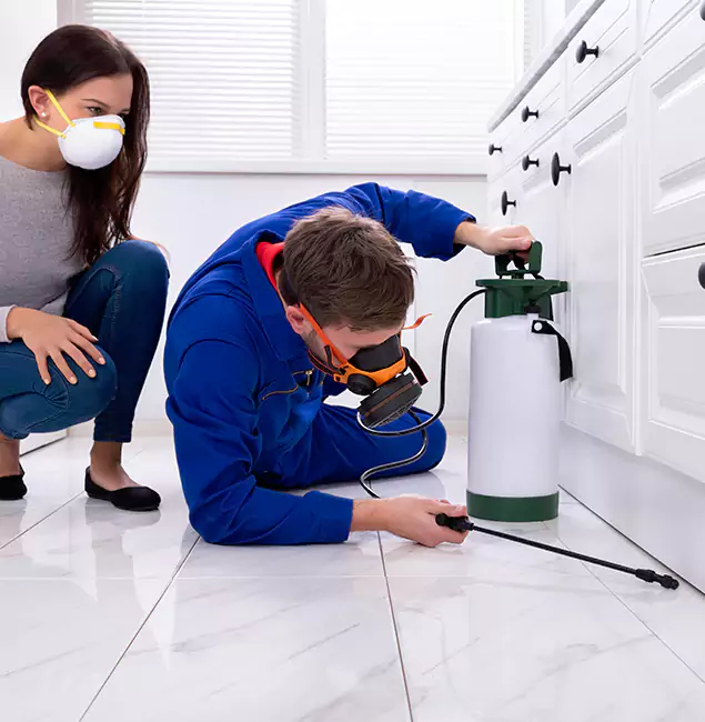 Why Choose Medford Pest Control Pro for Termite Inspection Cost in Medford, OR?