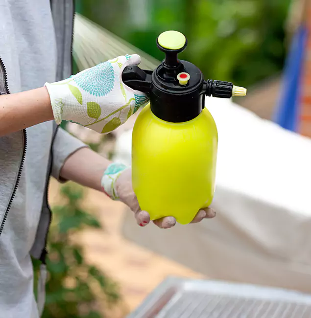 Why Choose Us: Medford Pest Control Pro Termite Spraying Experts in Medford, OR?